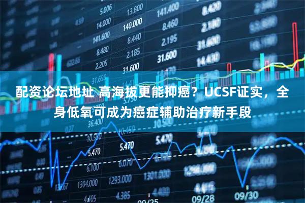 配资论坛地址 高海拔更能抑癌？UCSF证实，全身低氧可成为癌症辅助治疗新手段