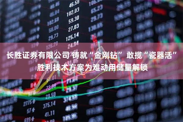 长胜证券有限公司 铸就“金刚钻” 敢揽“瓷器活” 胜利技术方案为难动用储量解锁